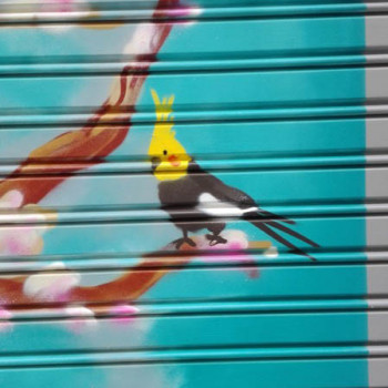 Persiana graffiti Centre Estètica Sant Gervasi 2017