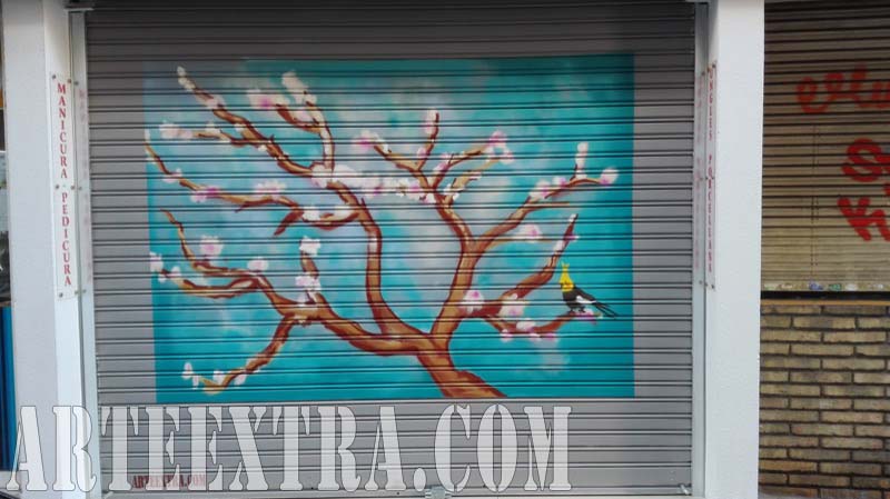 Persiana graffiti Centro Estética Sant Gervasi 2017